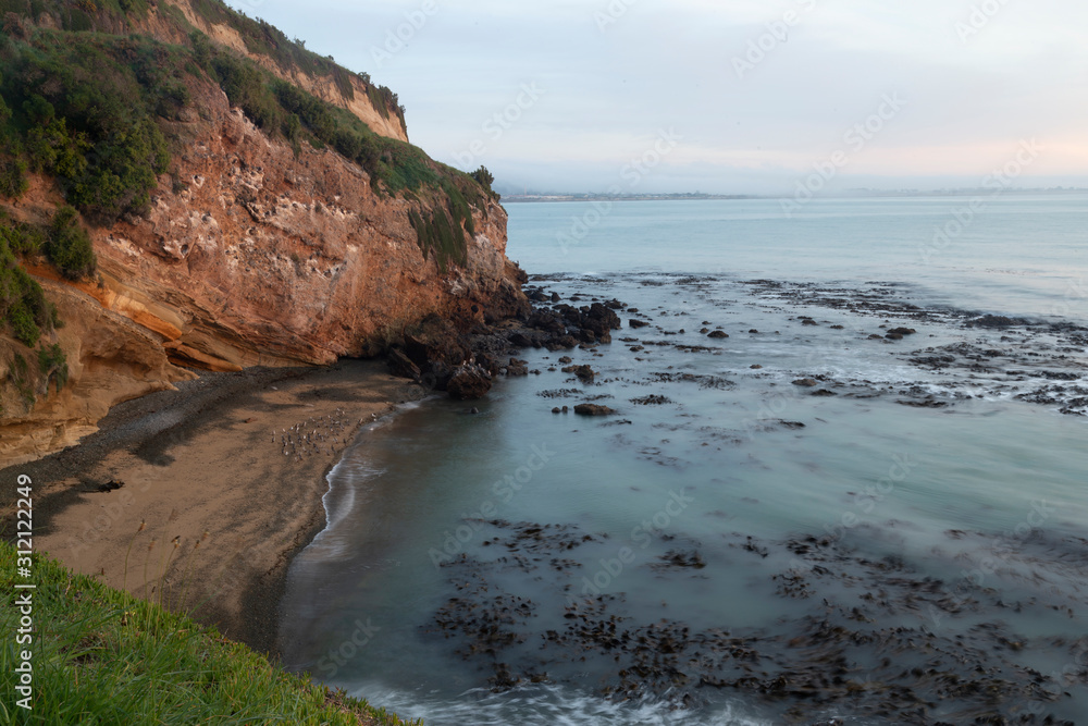 Oamaru, New Zealand. Cape Wanbrow Track to Second Beach. Early morning. Bird Colony on the beach.