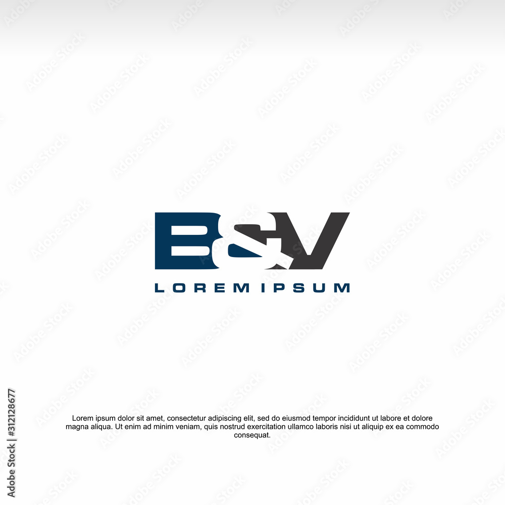 Initial letter logo, B&V logo, template logo
