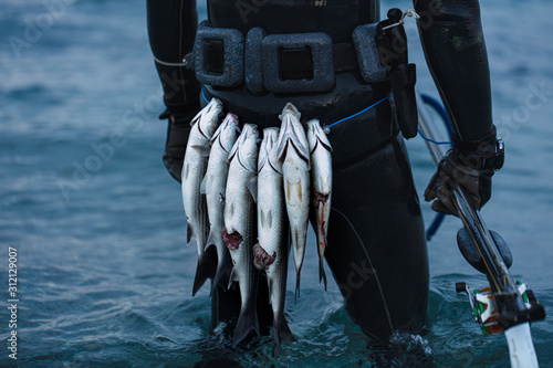 Photo of a freediver coming back from spear fishing