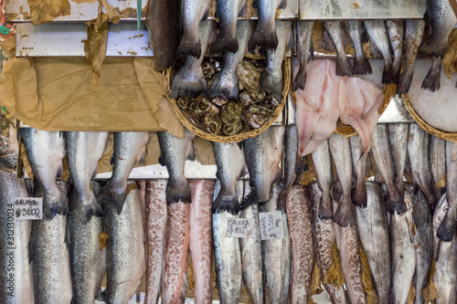 Close-up of fresh fish on display, like salmon and hake, at the local fish market of Caleta Angelmo, in Puerto Montt, Chile. Catch of the day on sale, carefully arranged photo