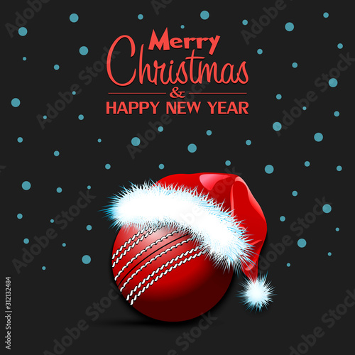 New year and cricket ball in santa hat