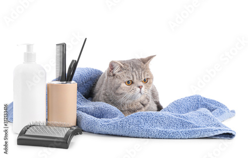 Cute cat with towel and grooming tools on white background photo