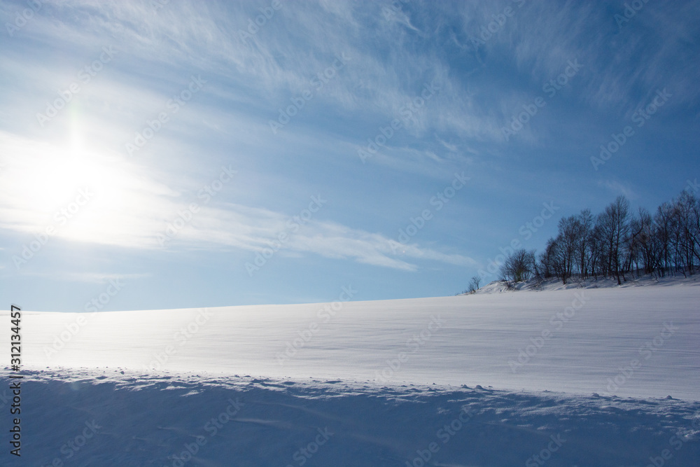太陽の光を反射する雪原