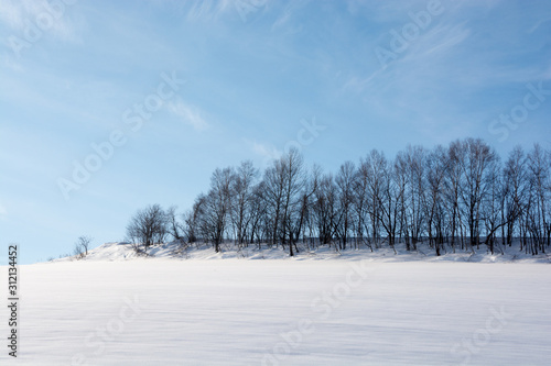 Wallpaper Mural 雪原と雑木林 Torontodigital.ca