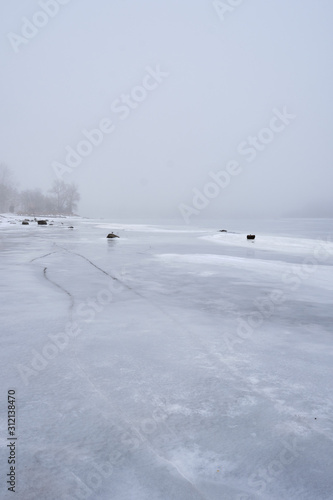 Cracks in an icy lake lead to trees in fog.