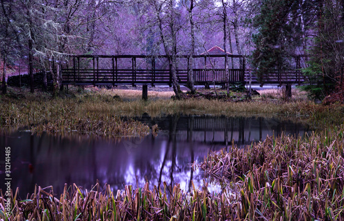 loch Dunmore, perthshire, scotland, boathouse, enchanted forest. photo