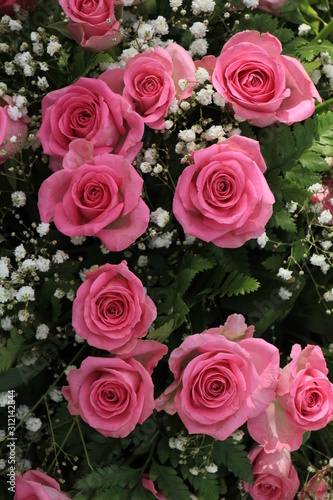 Big pink roses