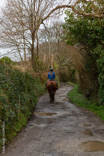 Person riding a horse on bridleway © Nathaniel