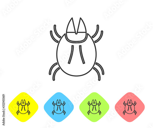 Grey line Parasite mite icon isolated on white background. Set icons in color rhombus buttons. Vector Illustration
