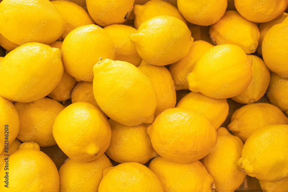 Lemon_3751 Lemon_3751