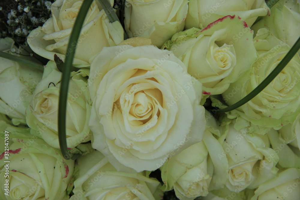 Fototapeta premium Big white wedding roses
