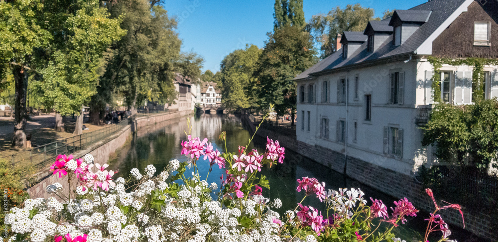 pink and white flowers in front of Strasbourg canal