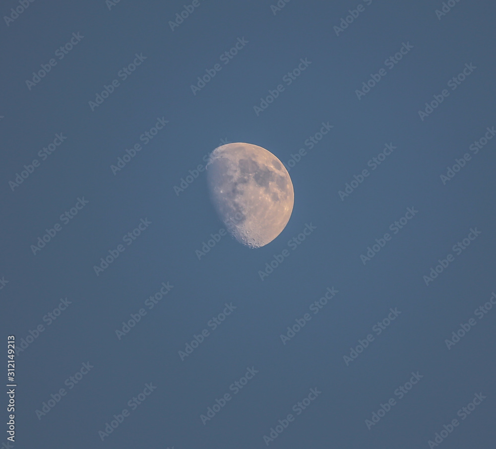 Moon Moon