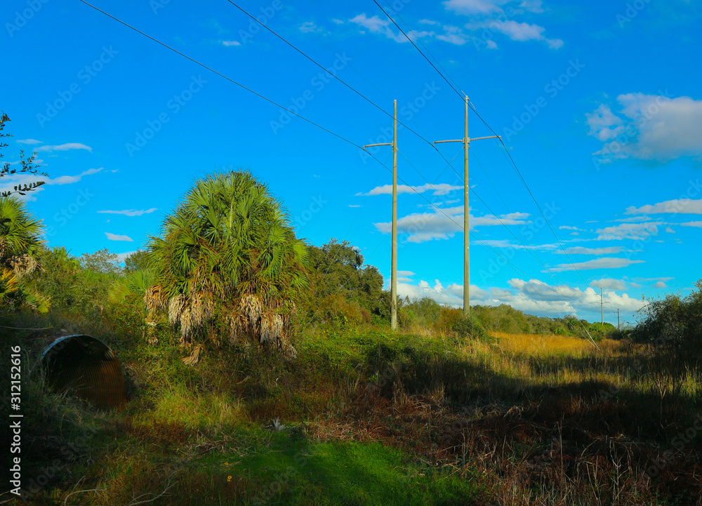Obraz premium High tension electric lines on path