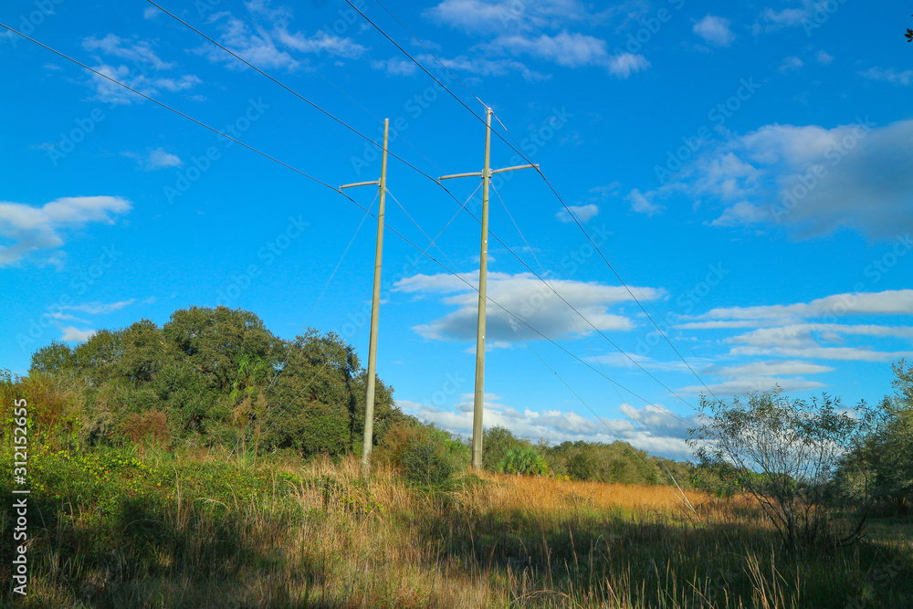 Fototapeta premium High tension electric lines on path