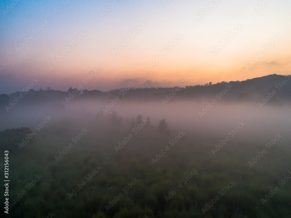 Fototapeta premium Misty Farm land, Byron Bay Australia