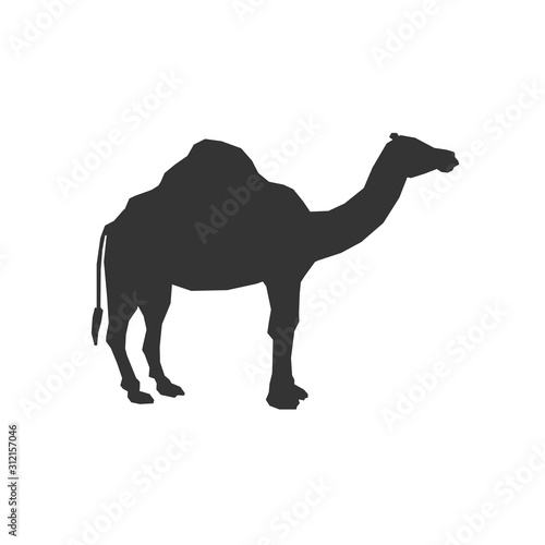 camel icon animal vector illustration for graphic design and websites