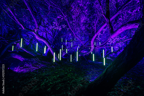 Large decorated illuminated tree at night with glowing lights