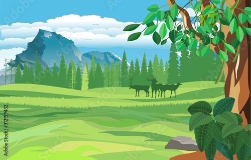  vector illustration of wildlife scene, forest, woodlands, green hills