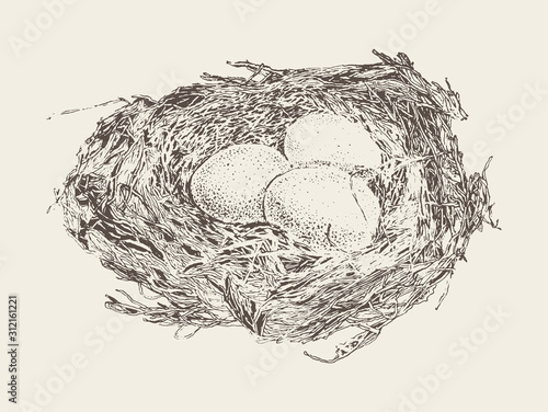 Bird nest three eggs hand drawn vector sketch