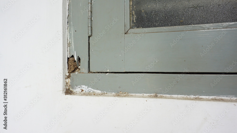 112 Black mold on window sill 112 Black mold on window sill