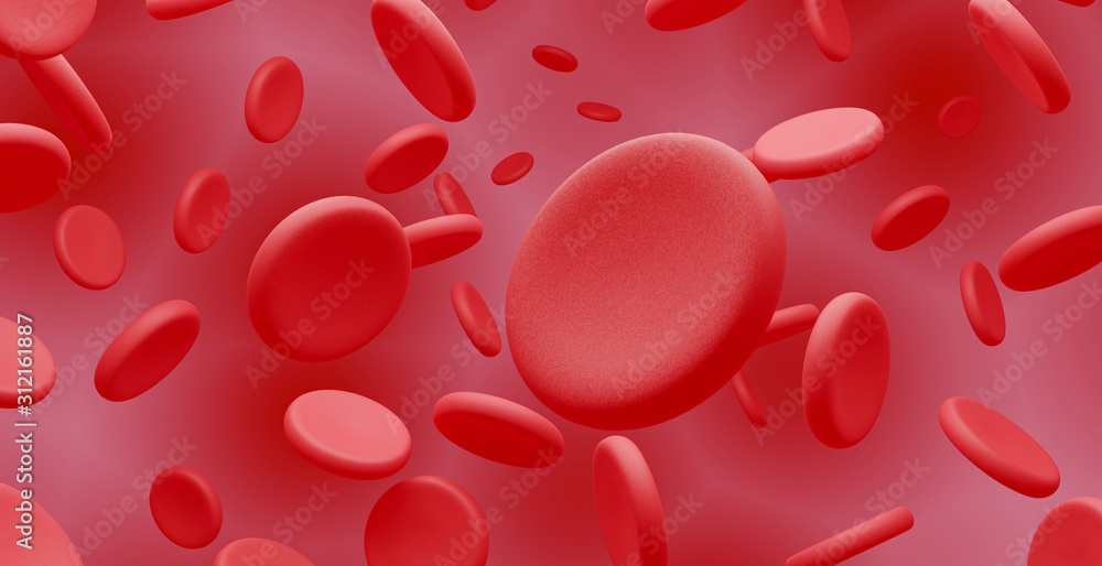 red blood cells also called 