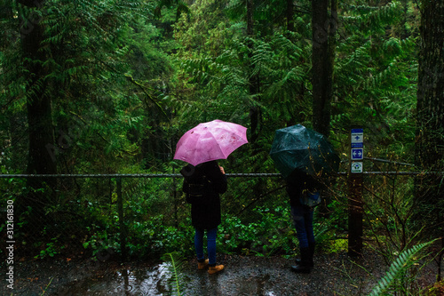 amazing view of the forest in Lynk Park, North Vancouver, BC, Canada, umbrellas and a rainy day to enjoy Vancouver and their exceptional parks.