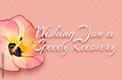 140 Wish you a speedy recovery with portia flower (Thespesia populnea)