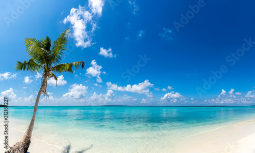 Fototapeta Naklejka Na Ścianę i Meble -  Beautiful Beach Image from Maldive Funadhoo Island best place to visit in the world Blue sky and turquoise color sea with coconut tree summer holiday background, beach panorama landscape view