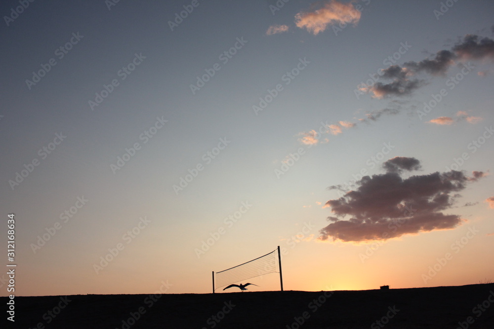 Seascape with silhouette of seagull and volleyball net against the setting sun