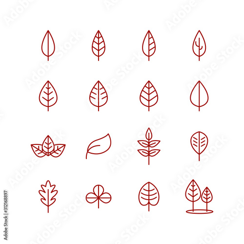 Simple set of leaf related outline icons. Elements for mobile concept and web apps. Thin line vector icons for website design and development, app development. Premium pack.