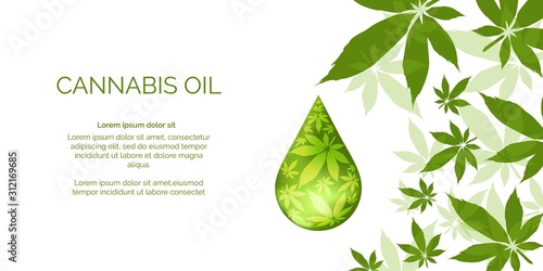  Cannabis droplet with cannabis leaves vector background.Cannabis oil illustration