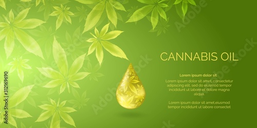  Cannabis droplet with cannabis leaves vector background.Cannabis oil illustration