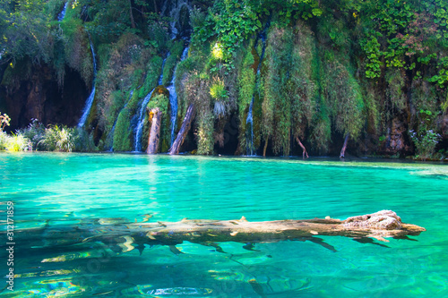 waterfall, blue lake, tree in water