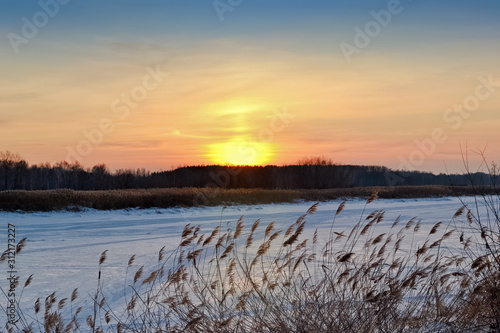 Frozen river in winter  dry reeds and sunset