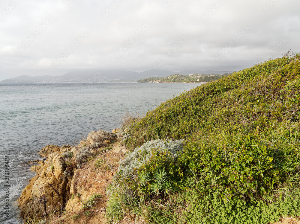 Fototapeta premium Cap Lardier dans le Var. Le Sentier du littoral avec sa flore et ses magnifiques panoramas à l'horizon et à l'est sur la baie de Cavalaire-sur-Mer