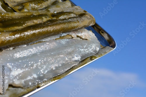 カレイの5枚おろし昆布締め、締めて1日目、刺身、手作り、塩こうじ、家庭料理、和食、食材イメージ素材