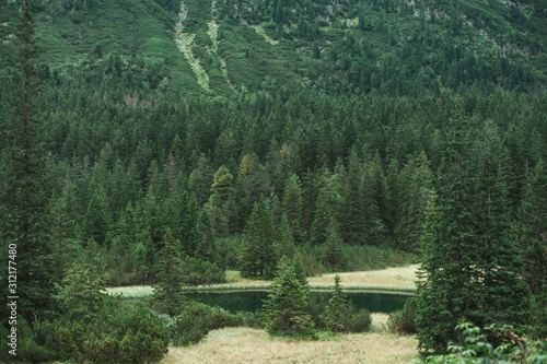 Wallpaper Mural Mountain landscape with coniferous forest and lake. Background. Landscape of the nature reserve. Torontodigital.ca