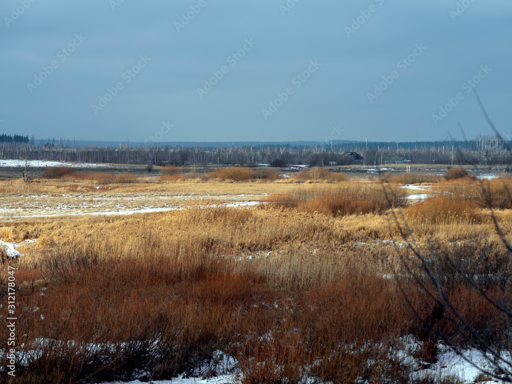 Beautiful landscape of the beginning of winter. Dry grass in the meadow is covered with the first snow. Cloudy winter day. Beautiful view of a snowy field at the end of autumn.