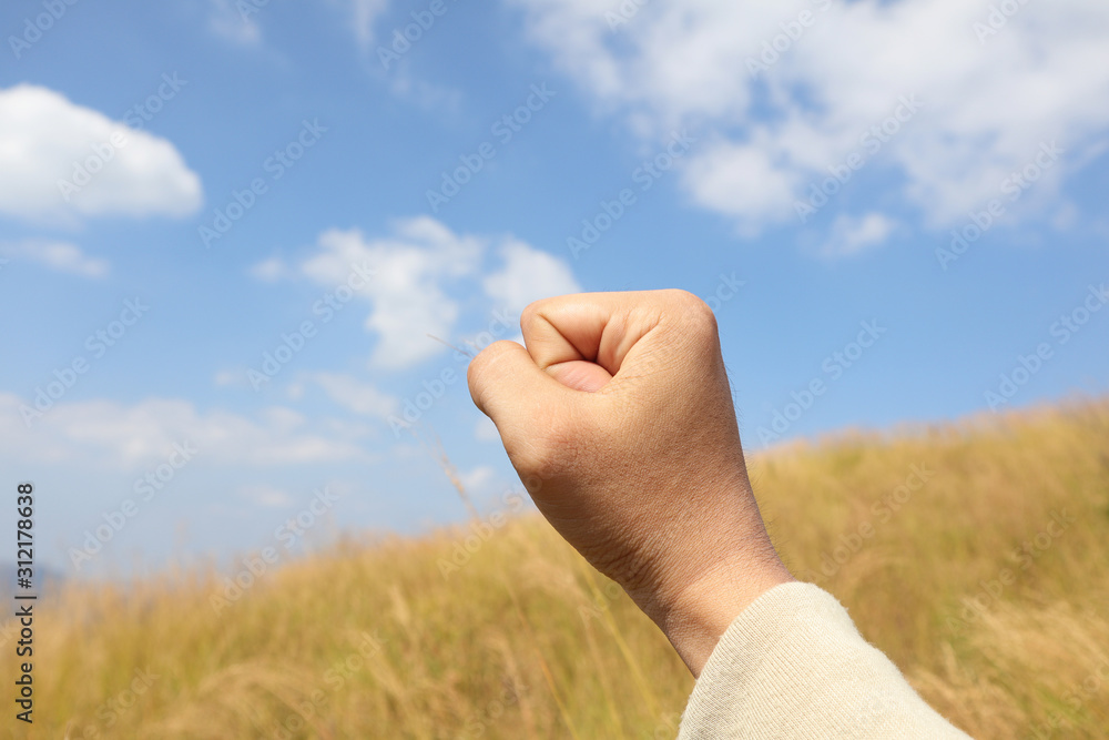 hand with wheat on background of blue sky hand with wheat on background of blue sky