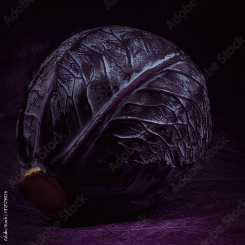 Red cabbage on dark purple background