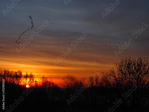 Heutiger Sonnenaufgang mit den Wildgänsen bei Null Grad in Wesel-Flüren