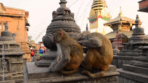 Monkey Temple, Kathmandu 