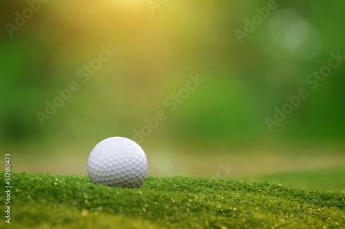 golf ball is on a green lawn in a beautiful golf course