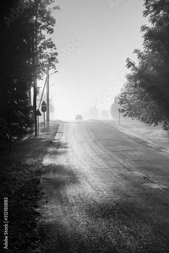 Foggy road with car.