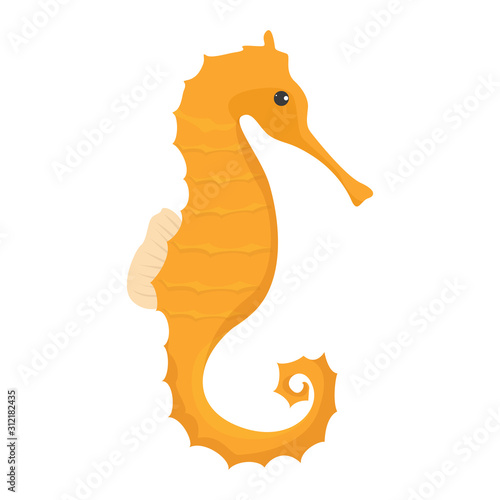 Yellow and orange seahorse vector isolated. Underwater wildlife.