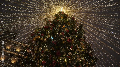 Christmas tree in the city. The main city Christmas tree.