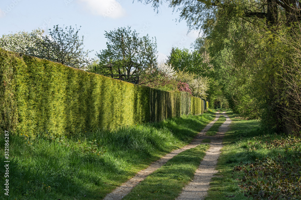 Fototapeta premium Wanderweg entlang der Gartenanlage