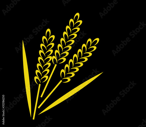 Ears of wheat on a black background. Vector illustration. 