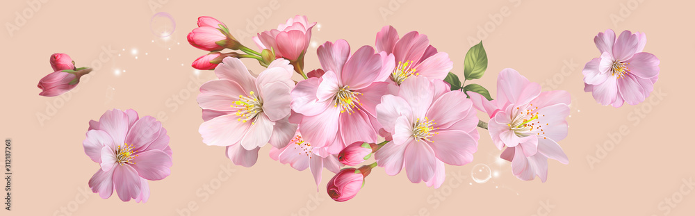 Watercolor flower, background pattern, wallpaper design Watercolor flower, background pattern, wallpaper design